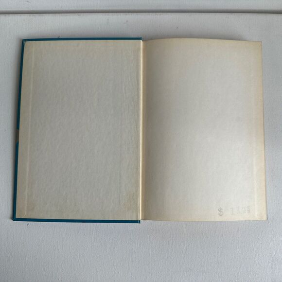 Mans Economic Environment 1976 Conkling Yeates - Picture 4 of 16